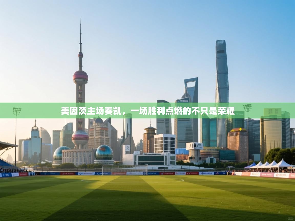 美因茨主场奏凯，一场胜利点燃的不只是荣耀  第2张