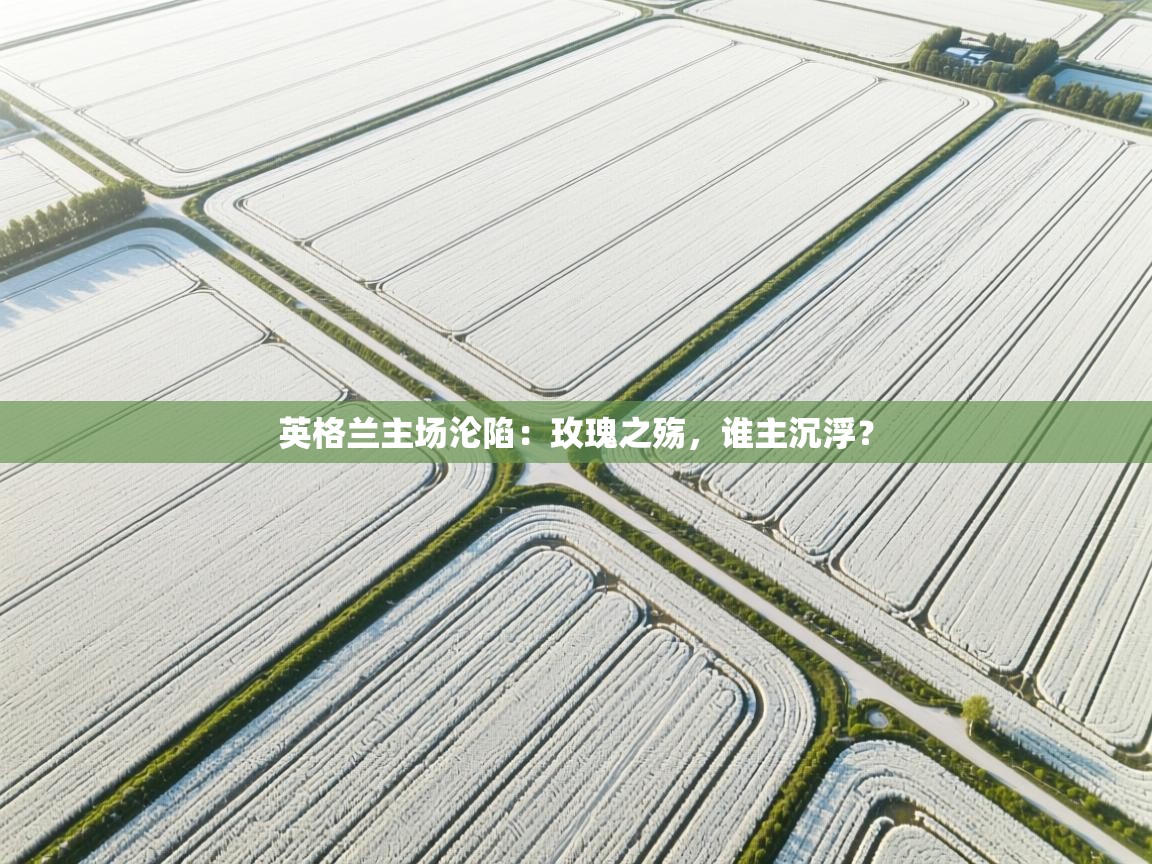 英格兰主场沦陷：玫瑰之殇，谁主沉浮？  第1张