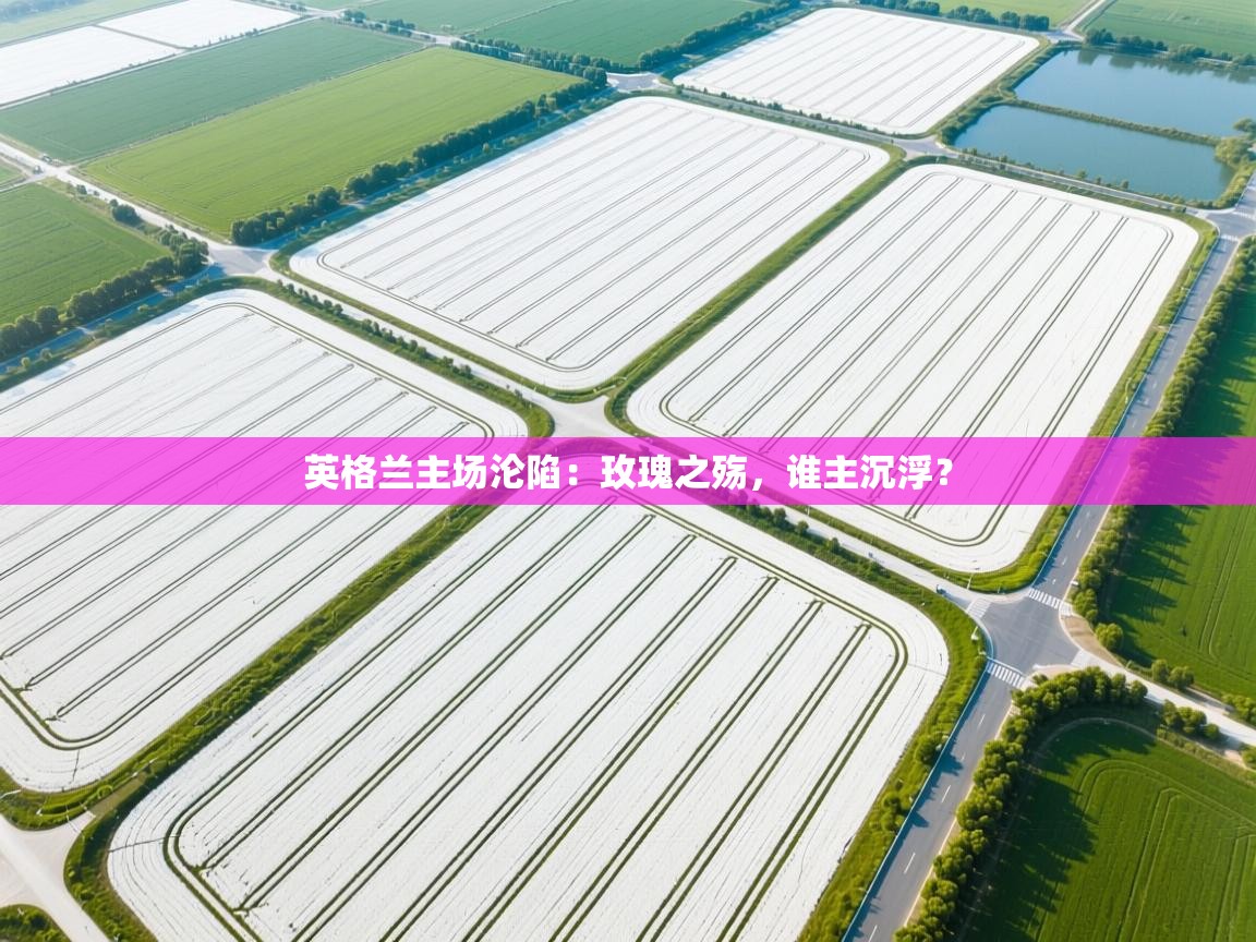 英格兰主场沦陷：玫瑰之殇，谁主沉浮？  第2张