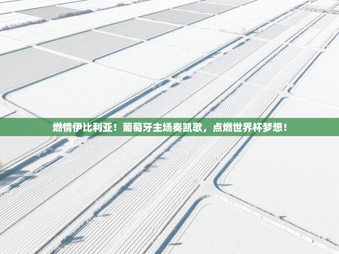 燃情伊比利亚!葡萄牙主场奏凯歌,点燃世界杯梦想! 第1张